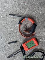 Collare satellitare + Palmare dog trace x20
