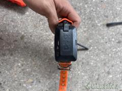 Collare satellitare + Palmare dog trace x20