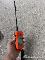 Collare satellitare + Palmare dog trace x20