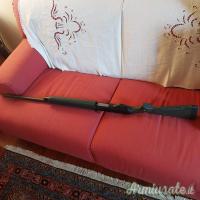 Winchester SX4 12
