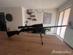 Remington 700 .308 Winchester