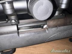 Remington 700 .308 Winchester