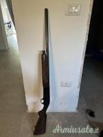 Beretta 301 20