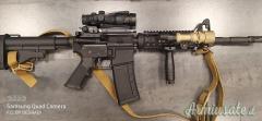 Colt  