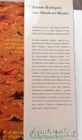 Libro “ARTE DELLA RESISTENZA 1922-1945” autore Erhard Frommhold edizione 1970 - come nuovo!