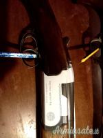 Benelli Raffaello Special  12