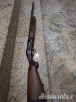 Beretta A301 20