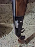 Beretta A301 20
