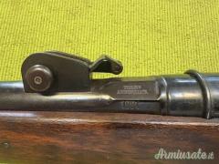 Vetterli 1870, Cavalleria, Torre Annunziata 1884, 10,4