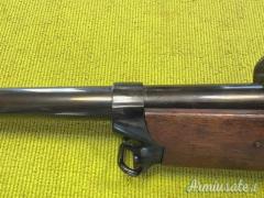 Vetterli 1870, Cavalleria, Torre Annunziata 1884, 10,4