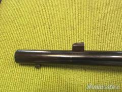 Vetterli 1870, Cavalleria, Torre Annunziata 1884, 10,4