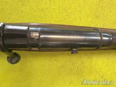 Vetterli 1870, Cavalleria, Torre Annunziata 1884, 10,4