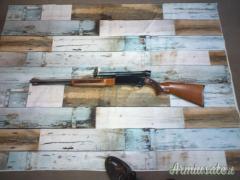 Winchester varie 16