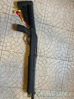 Bernardelli PA12 12