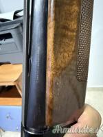 Beretta 301 12