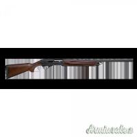 Franchi affinity wood 20