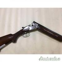 Beretta ase 20
