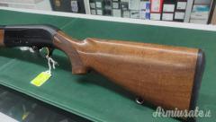 Beretta AL 391  12