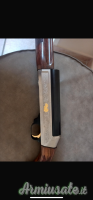 Benelli cal 20 exclusive