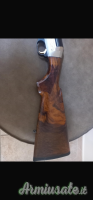 Benelli cal 20 exclusive