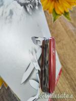 Victorinox Climber