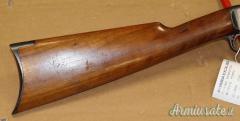 Carabina  Pompa Remington Cal. 22LR