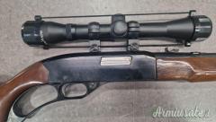 WINCHESTER 250 A LEVA CAL 22 LR  RIF   U156  ARMIUS_6115