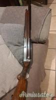 ...Altro | Non elencato semiauto 12