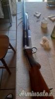 ...Altro | Non elencato semiauto 12