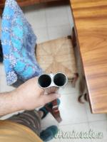 ...Altro | Non elencato Doppietta 12