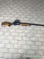 Browning Auto 5 12 con punto rosso