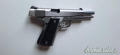 Para Ordnance 14-45 .45 ACP