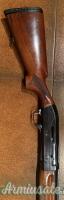 Benelli duca di Montefeltro  cal 12