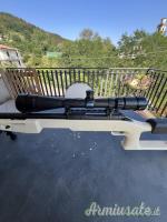 Savage Predator 10 .308 Winchester