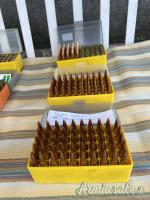 Savage Predator 10 .308 Winchester