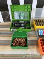 Savage Predator 10 .308 Winchester