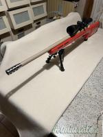 Remington 700 .222 Remington