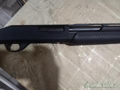 Stoeger p350 12