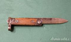 BAIONETTA CARCANO