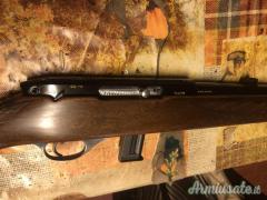 Beretta weatherby .22 Long Rifle