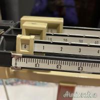 Precisione meccanica : OHAUS Cent-O-Gram 311