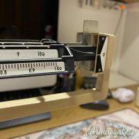 Precisione meccanica : OHAUS Cent-O-Gram 311