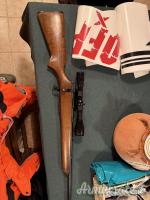 22 Hornet