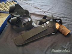 S&W 629 .44 Remington Magnum