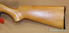 FN Browning T Bolt Cal. 22 LR con Ottica