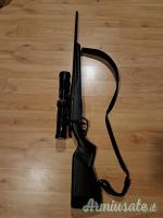 Steyr Mannlicher Safebold SBS 96 .243 Winchester
