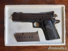 Grizzly .45 Winchester Magnum