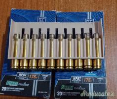 Bossoli 1°sparo 308