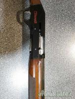 Benelli centro 12