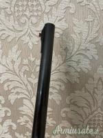 Benelli Raffaello 12